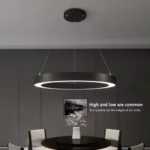 Buy Circular Ring Hanging Profile Light Online Delhi